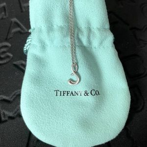 Tiffany & Co. “S” necklace
